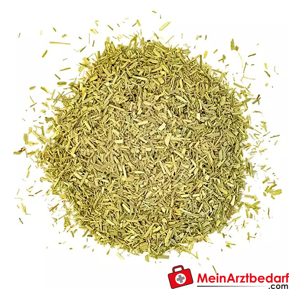 Sonnentor Bio Zitronengras geschnitten.