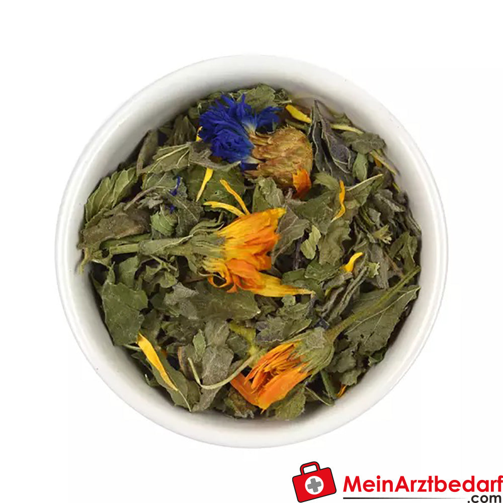 Sonnentor Bio GlücksTee.