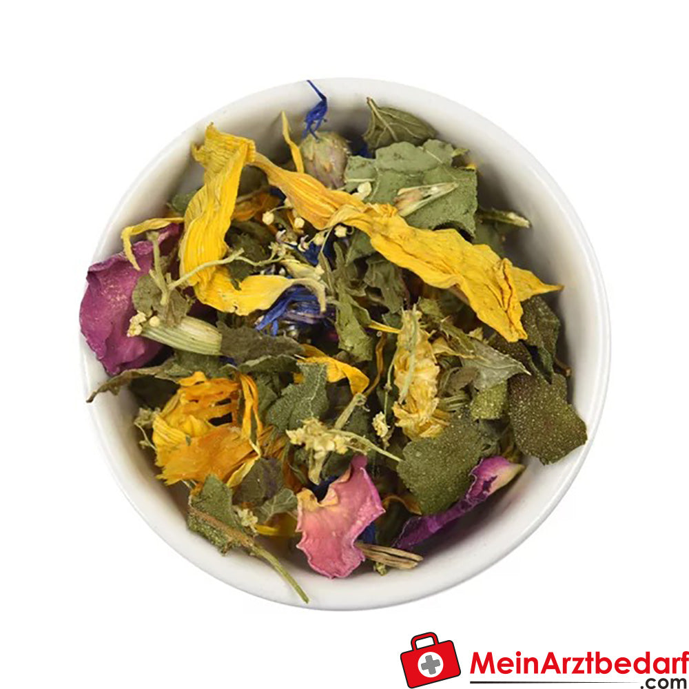 Sonnentor Bio Loslassen Kräutertee.