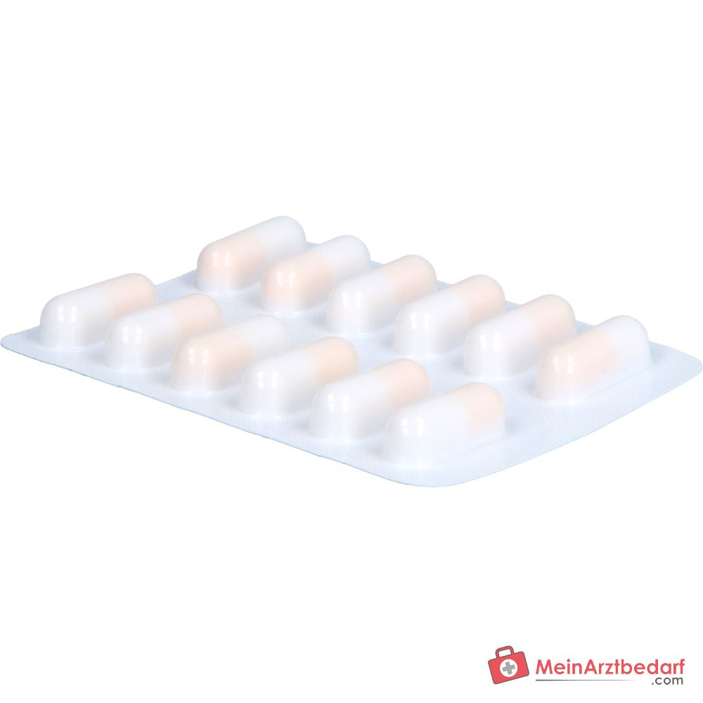 Grippostad C paracetamol / vitamine C / chloorfenamine / cafeïne harde capsules