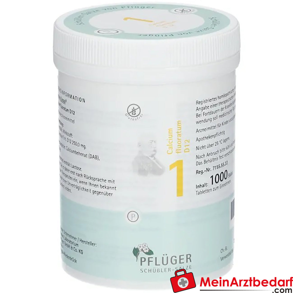 Pflüger Biochemistry No. 1 Calcium fluoratum D12 250 mg tabletki