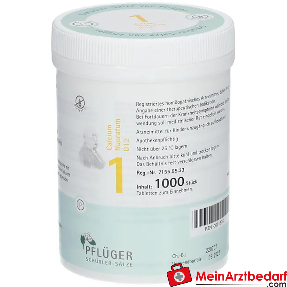 Pflüger Biochemistry No. 1 Calcium fluoratum D12 250 mg tabletki