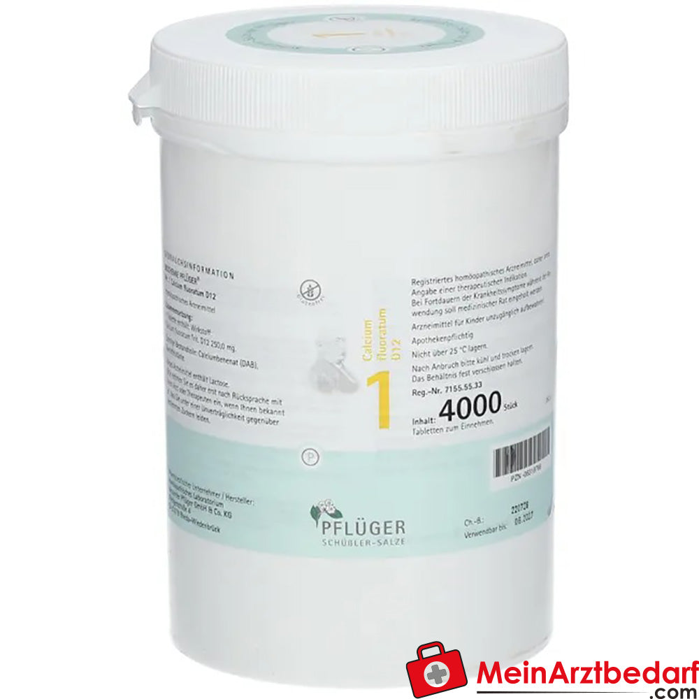 Pflüger Biochemie Nr. 1 Calcium fluoratum D12 250 mg Tabletten