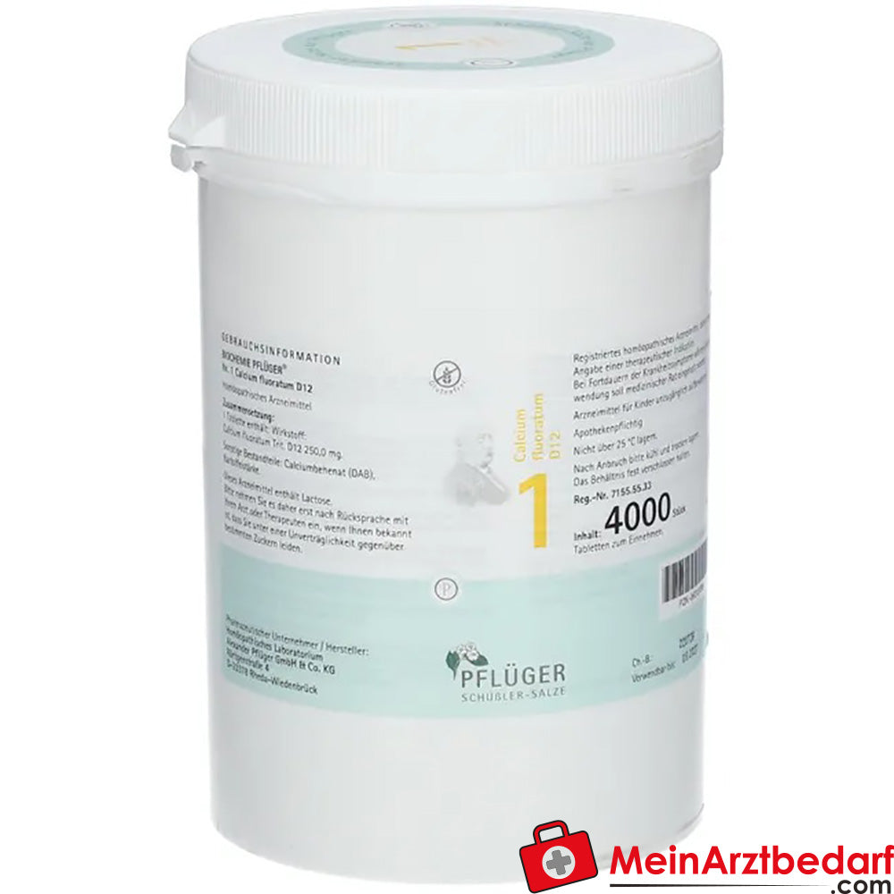 Pflüger Biochemie Nr. 1 Calcium fluoratum D12 250 mg Tabletten