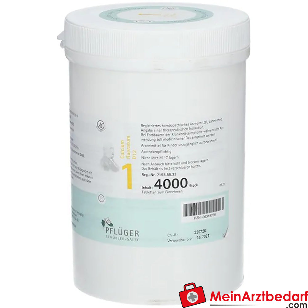 Pflüger Biochemistry No. 1 Calcium fluoratum D12 250 mg tabletki