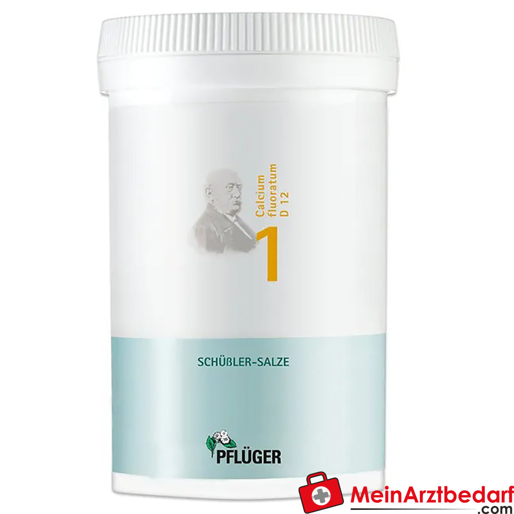 Pflüger Biochemistry No. 1 Calcium fluoratum D12 250 mg tabletki