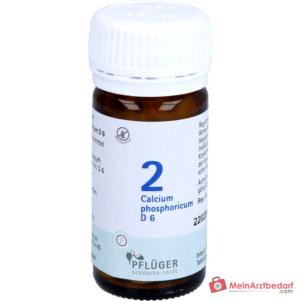 Pflüger Biochemia Nr 2 Calcium phosphoricum D6 Tabletki, 100 szt.