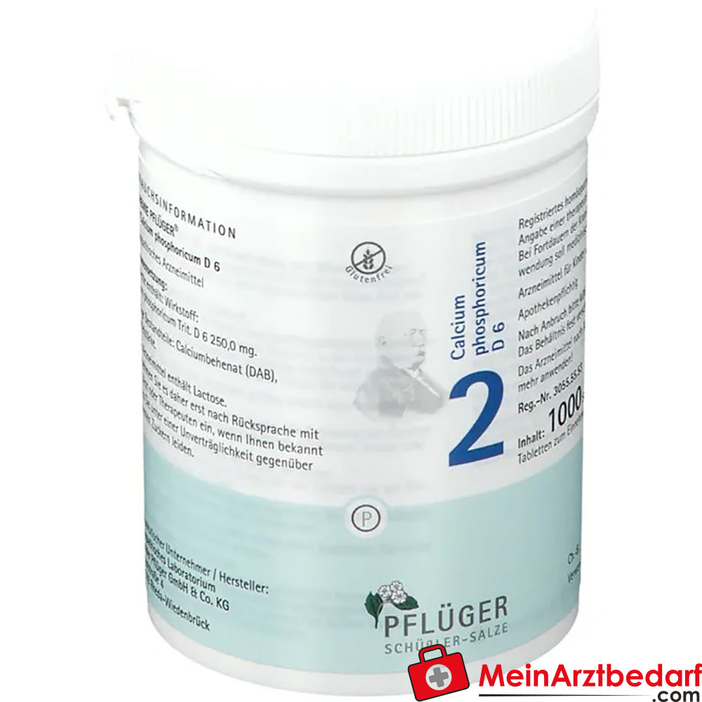 Biochemie Pflüger No 2 Calcium phosphoricum D6 comprimés 250 mg