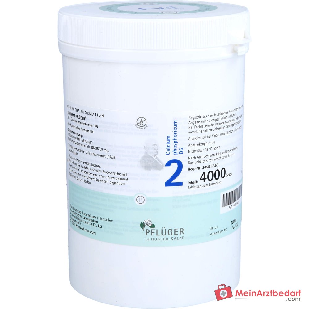 Biochemie Pflüger Nr. 2 Calcium phosphoricum D6 Tabletten 250 mg