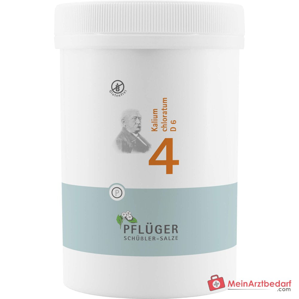 Biochemie Pflüger nr. 4 Kalium chloratum D6 tabletten 100 stuks