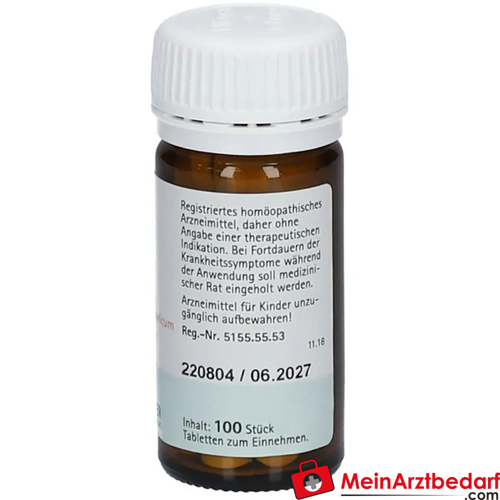 Biochemie Pflüger® Nr. 5 Kalium phosphoricum D6 Tabletten.