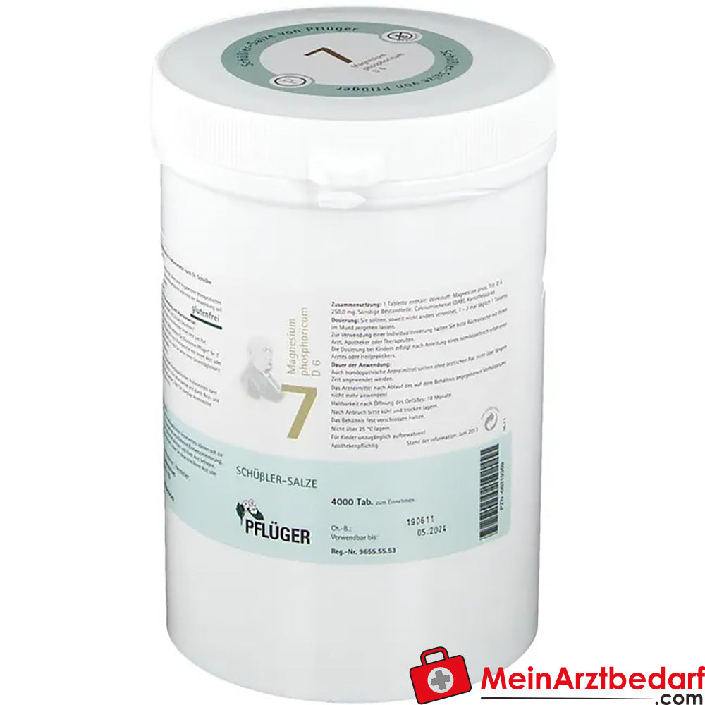 Biochemie Pflüger Nr. 7 Magnesium phosphoricum D6 250 mg Tabletten