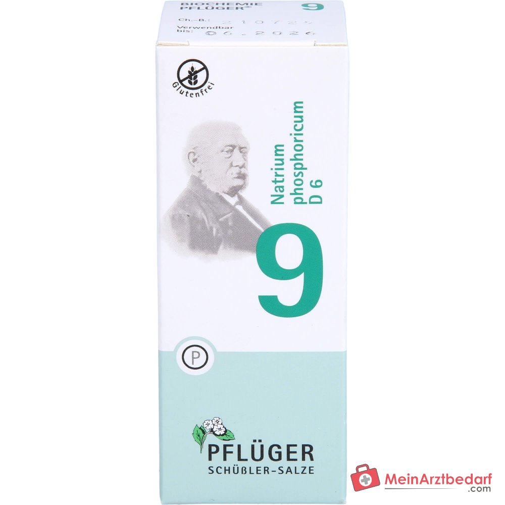 Biochemie Pflüger Nr. 9 Natrium phosphoricum D6 250 mg Tabletten 100 St