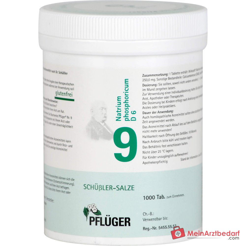 Biochemie Pflüger Nr. 9 Natrium phosphoricum D6 250 mg Tabletten 100 St