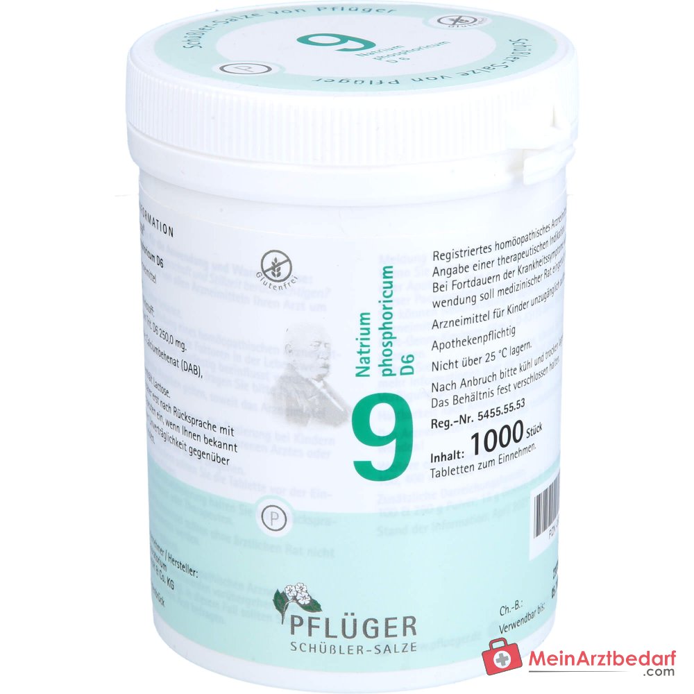 Biochemie Pflüger Nr. 9 Natrium phosphoricum D6 250 mg Tabletten 100 St