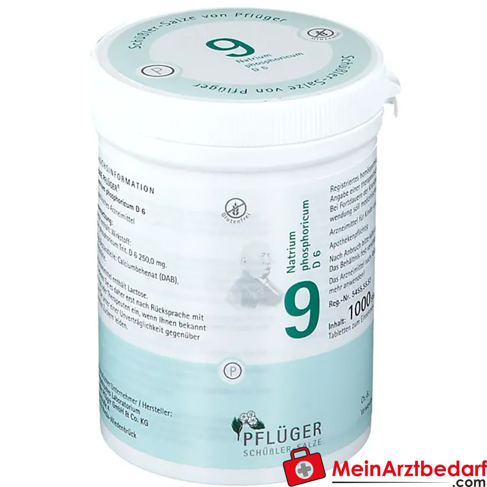 Biochemie Pflüger Nr. 9 Natrium phosphoricum D6 250 mg Tabletten 100 St