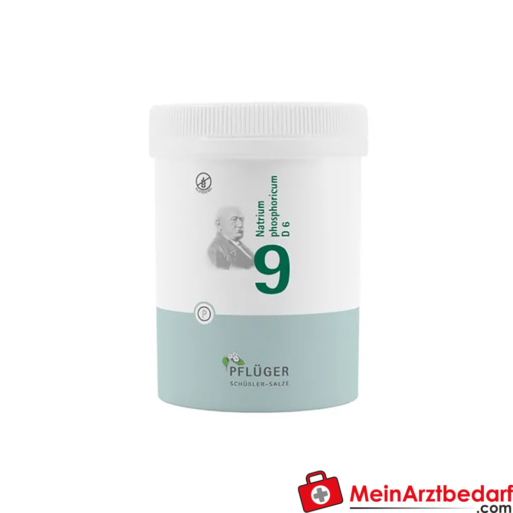 Biochemie Pflüger Nr. 9 Natrium phosphoricum D6 250 mg Tabletten 100 St