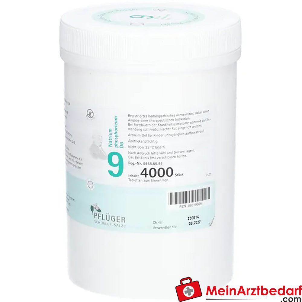 Biochemie Pflüger Nr. 9 Natrium phosphoricum D6 250 mg Tabletten 100 St