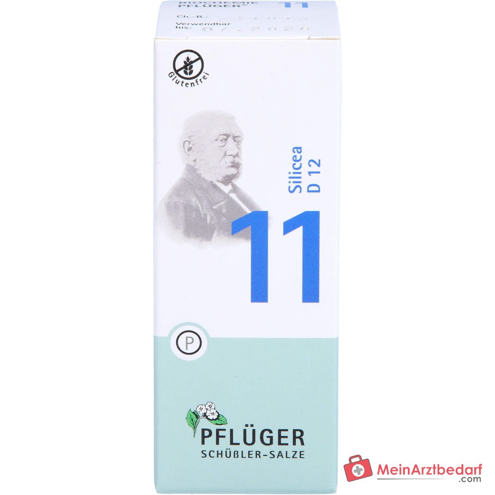 Biochemie Pflüger Nr. 11 Silicea Acidum silicicum D12 Tabletten, 100 St.