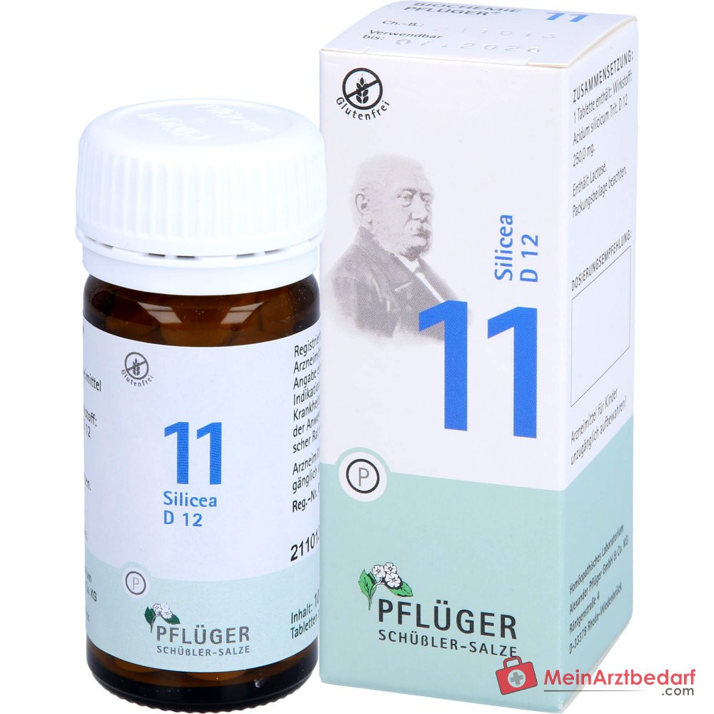 Biochemie Pflüger Nr. 11 Silicea Acidum silicicum D12 Tabletten, 100 St.