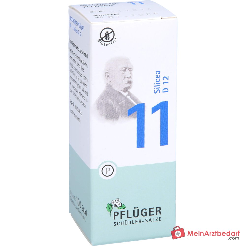 Biochemie Pflüger Nr. 11 Silicea Acidum silicicum D12 Tabletten, 100 St.