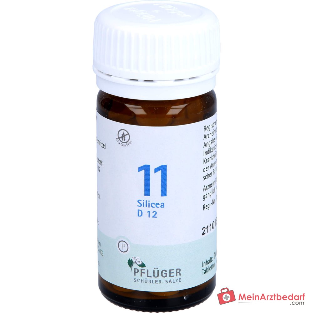Biochemie Pflüger Nr. 11 Silicea Acidum silicicum D12 Tabletten, 100 St.