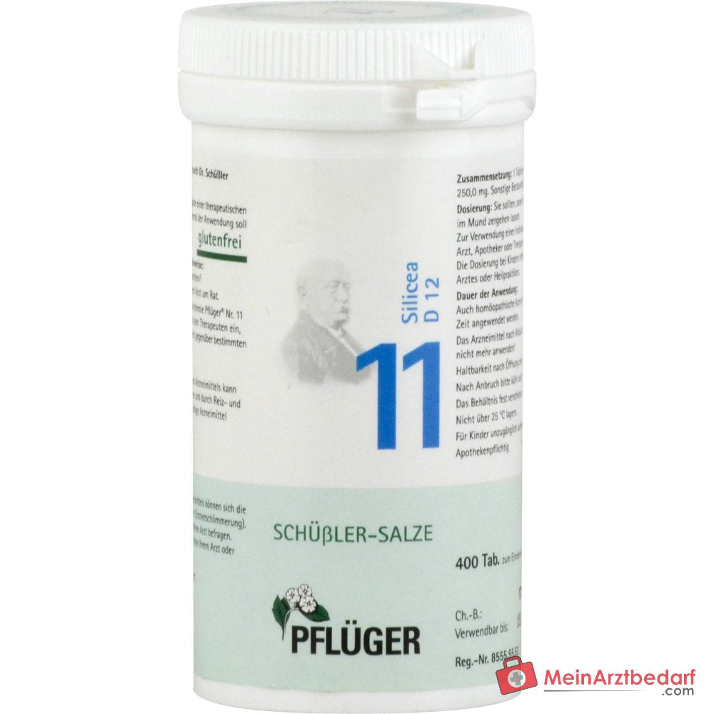 Biochemie Pflüger Nr. 11 Silicea Acidum silicicum D12 Tabletten, 100 St.
