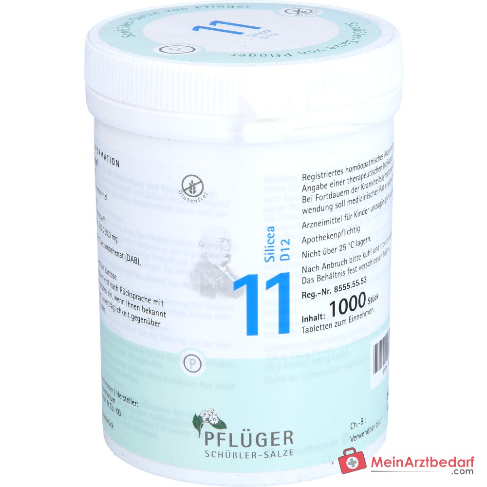 Biochemie Pflüger Nr. 11 Silicea Acidum silicicum D12 Tabletten, 100 St.