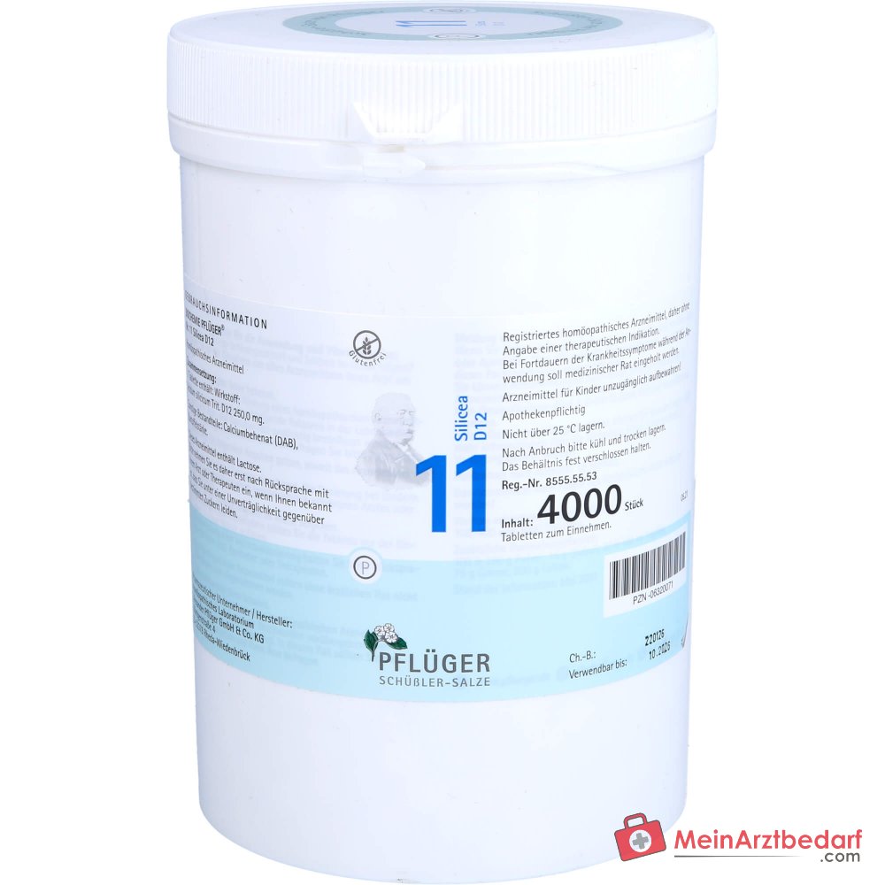 Biochemie Pflüger Nr. 11 Silicea Acidum silicicum D12 Tabletten, 100 St.