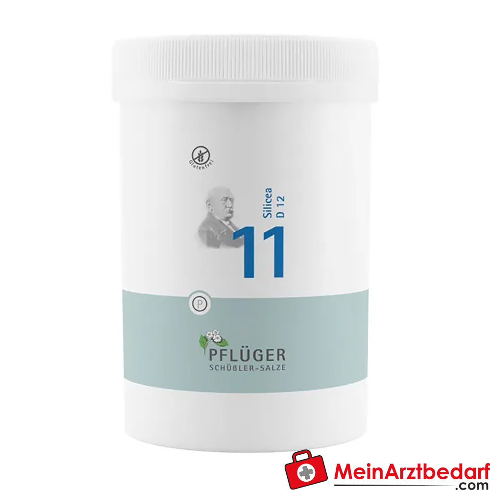 Biochimie Pflüger No 11 Silicea D12 250 mg Comprimés