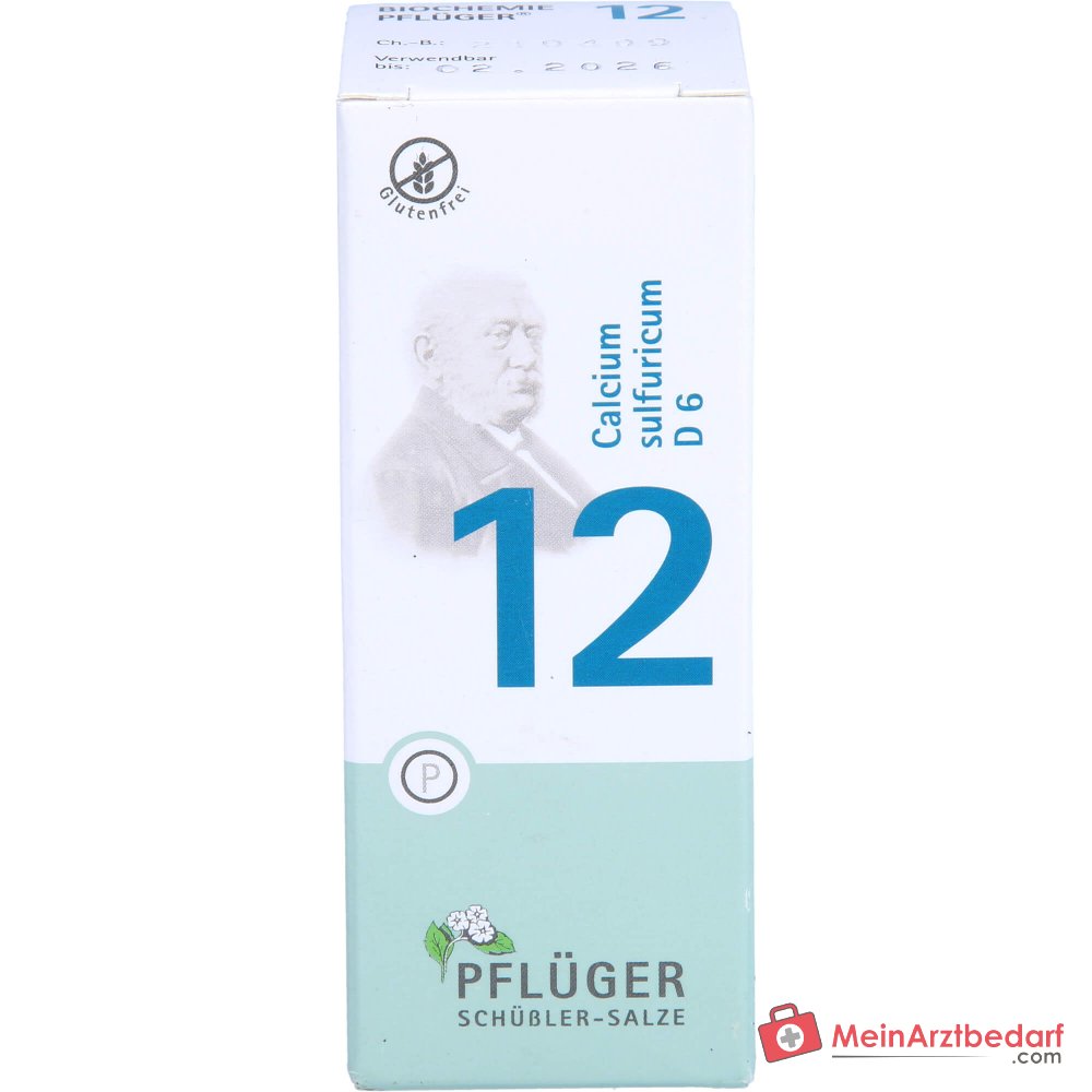 Biochemie Pflüger Nr. 12 Calcium sulfuricum D6 250 mg Tabletten 100 Stück