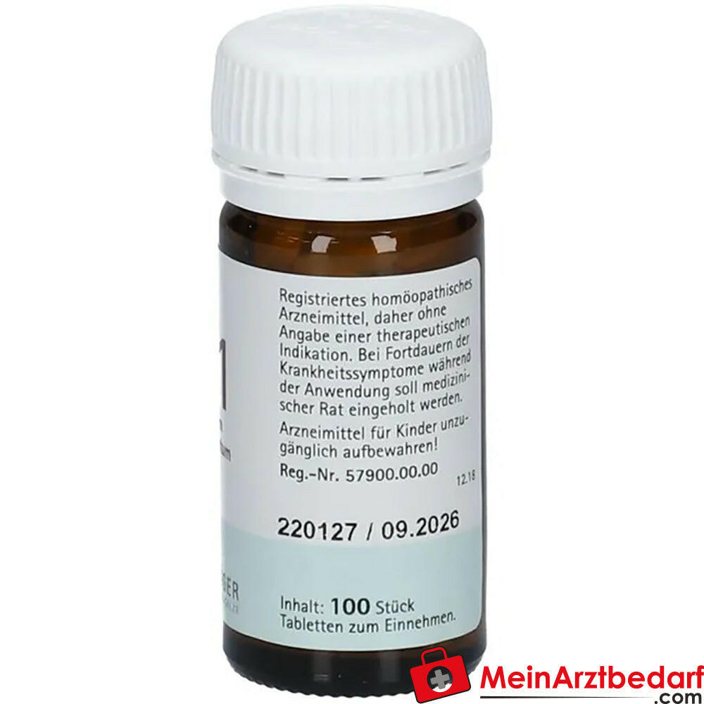 Biochemie Pflüger® Nr. 21 Zincum chloratum D6 Tabletten.