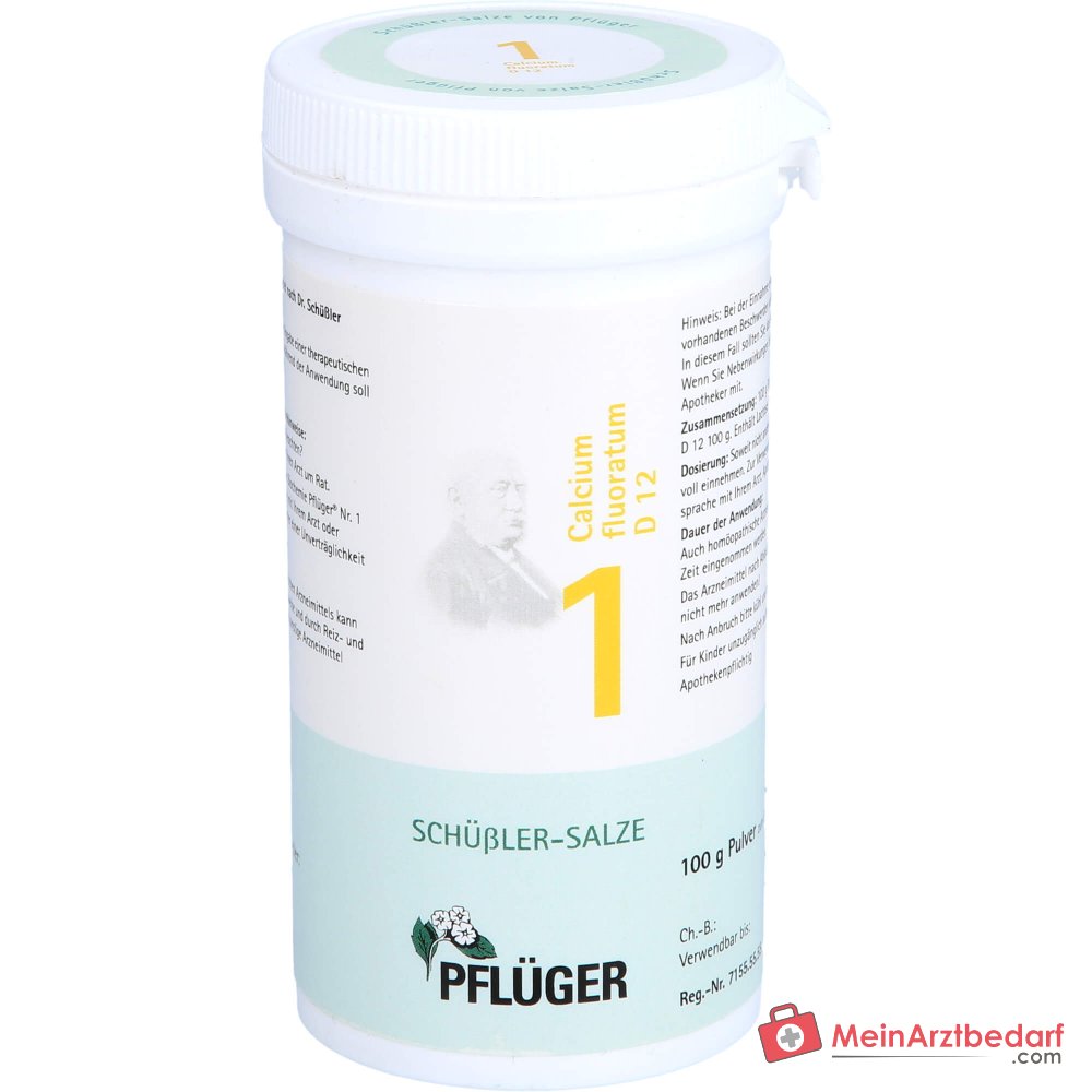 Pflüger Biochemie Nr.1 Calcium fluoratum D12 Pulver 1000 mg (1 g)
