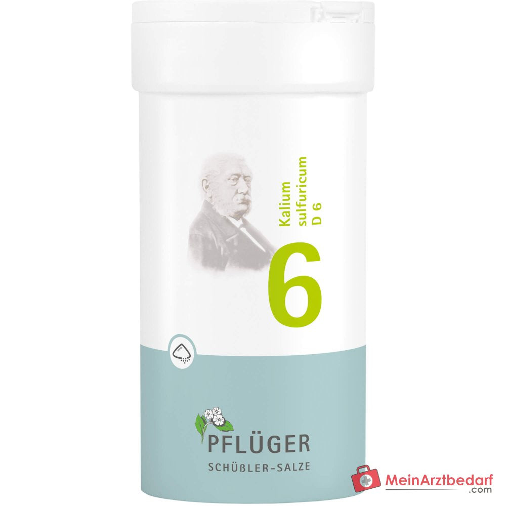 Biochemie Pflüger No. 6 Potassio solforico D6 in polvere 1000 mg 1 confezione
