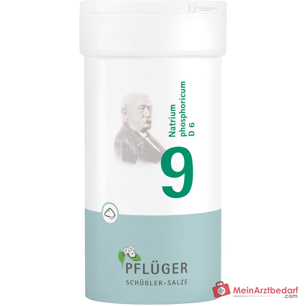 Biochemie Pflüger Nr. 9 Natrium phosphoricum D6 Pulver 100 g