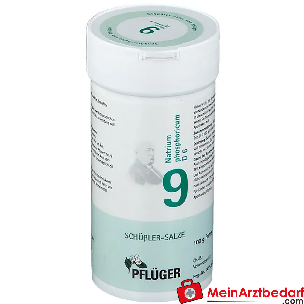 Biochemie Pflüger® Nr. 9 Natrium phosphoricum D6 Pulver.