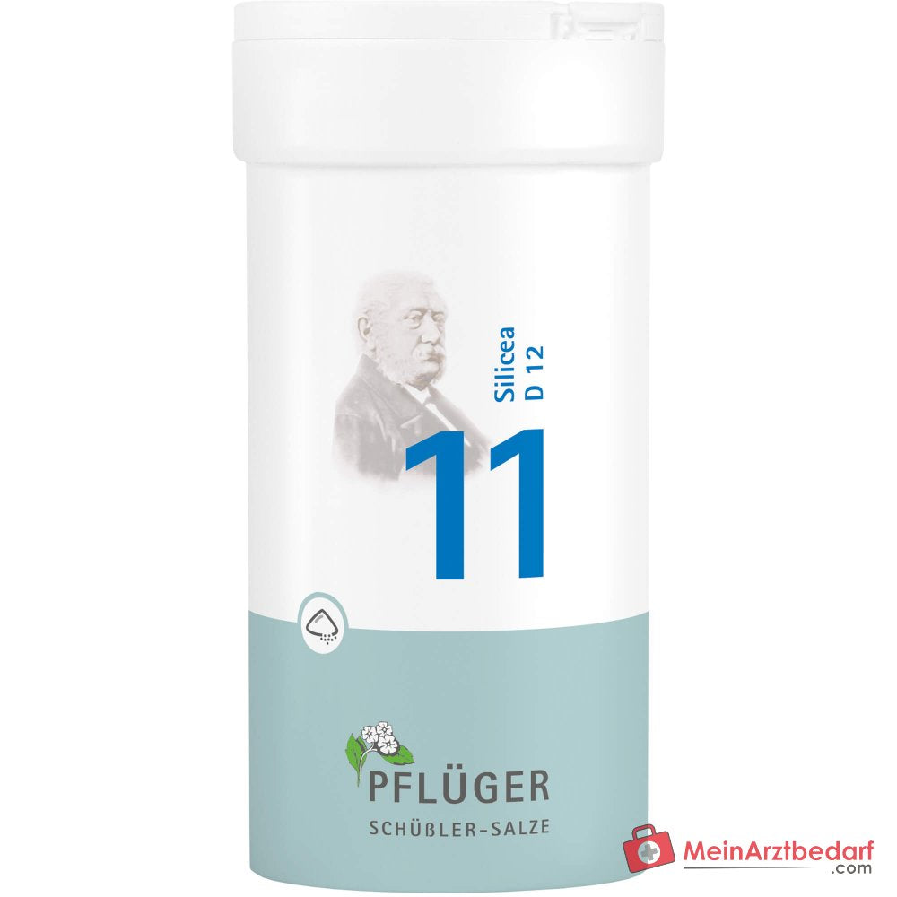 Biochemie Pflüger® Nr. 11 Silicea D12 Pulver 1000 mg