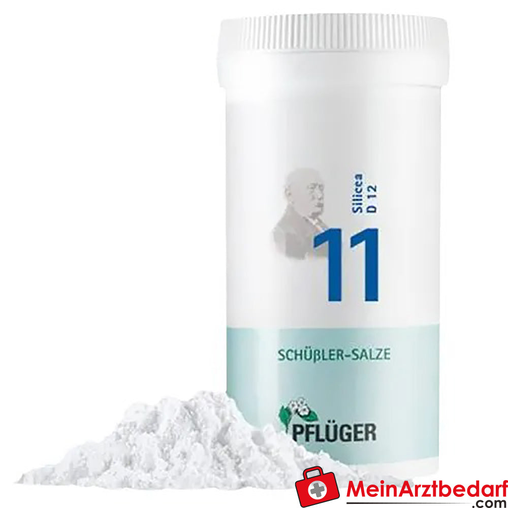Biochemie Pflüger® Nr. 11 Silicea D12 Pulver.