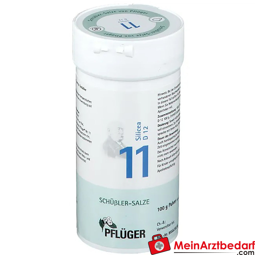 Biochemie Pflüger® Nr. 11 Silicea D12 Pulver.