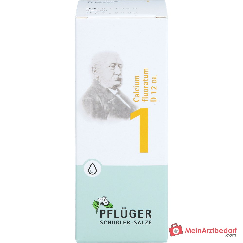 Biochemie Pflüger nr. 1 Calcium fluoratum D12 druppels