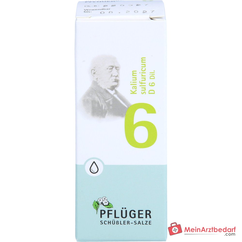Biochemie Pflüger Nr. 6 Kaliumsulfuricum D6 1000 mg druppels verpakking