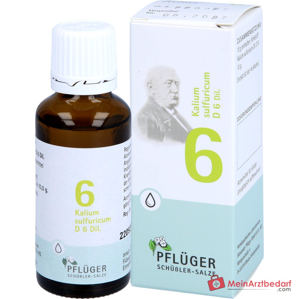 Biochemie Pflüger Nr. 6 Kaliumsulfuricum D6 1000 mg druppels verpakking