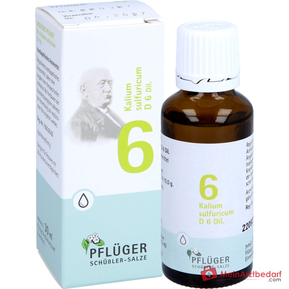 Biochemie Pflüger Nr. 6 Kaliumsulfuricum D6 1000 mg druppels verpakking