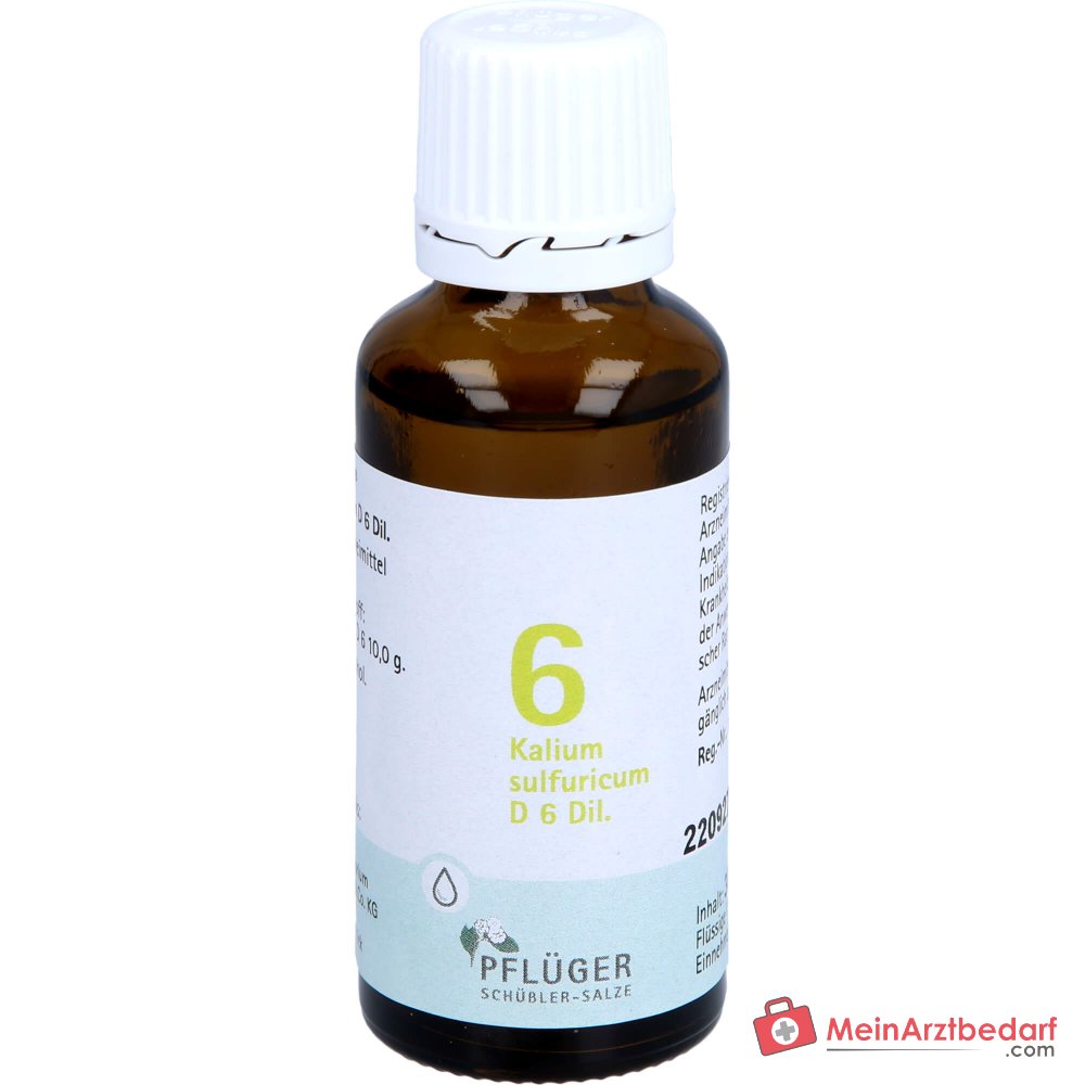 Biochemie Pflüger Nr. 6 Kaliumsulfuricum D6 1000 mg druppels verpakking