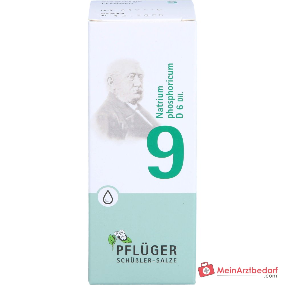 Biochemie Pflüger Nr. 9 Natrium phosphoricum D6 Tropfen 10 ml