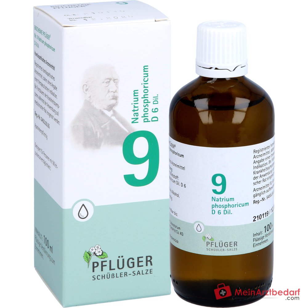Biochemie Pflüger Nr. 9 Natrium phosphoricum D6 Tropfen 10 ml