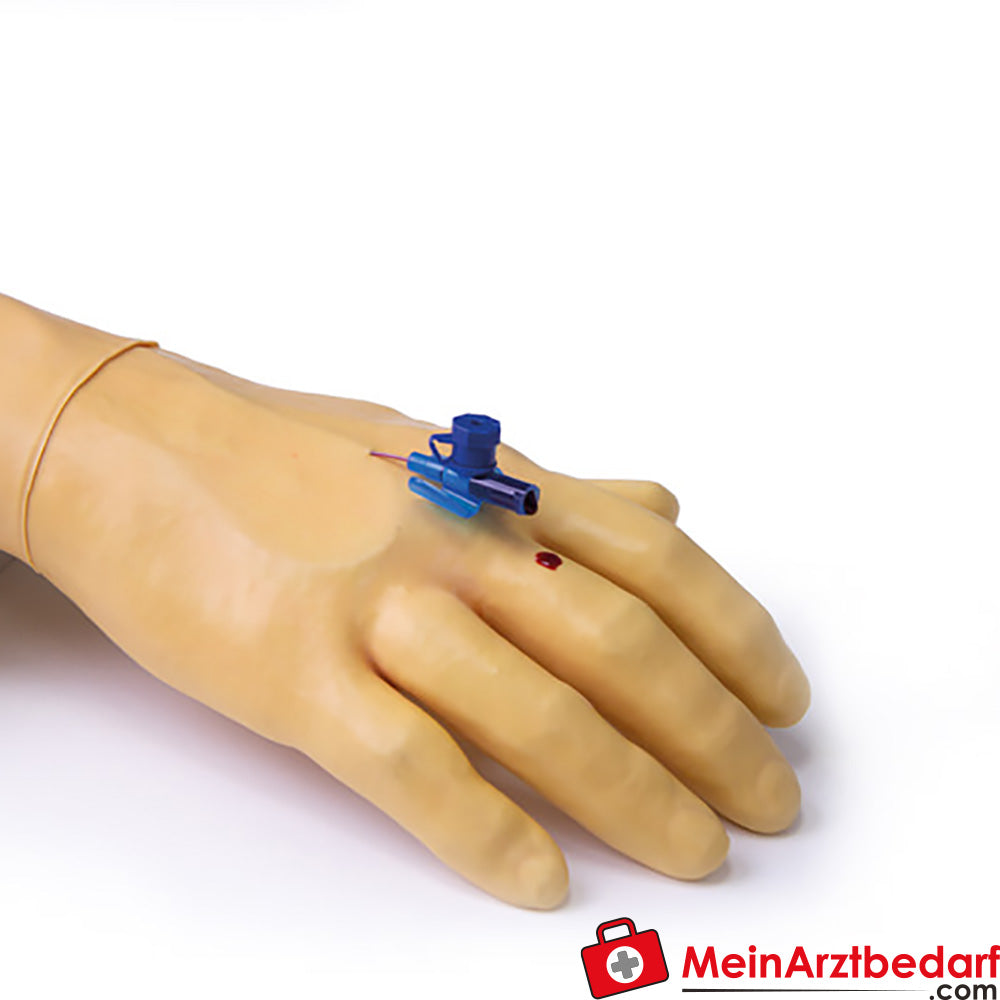 Erler Zimmer Trainingsarm für intravenöse Injektion und Infusion.
