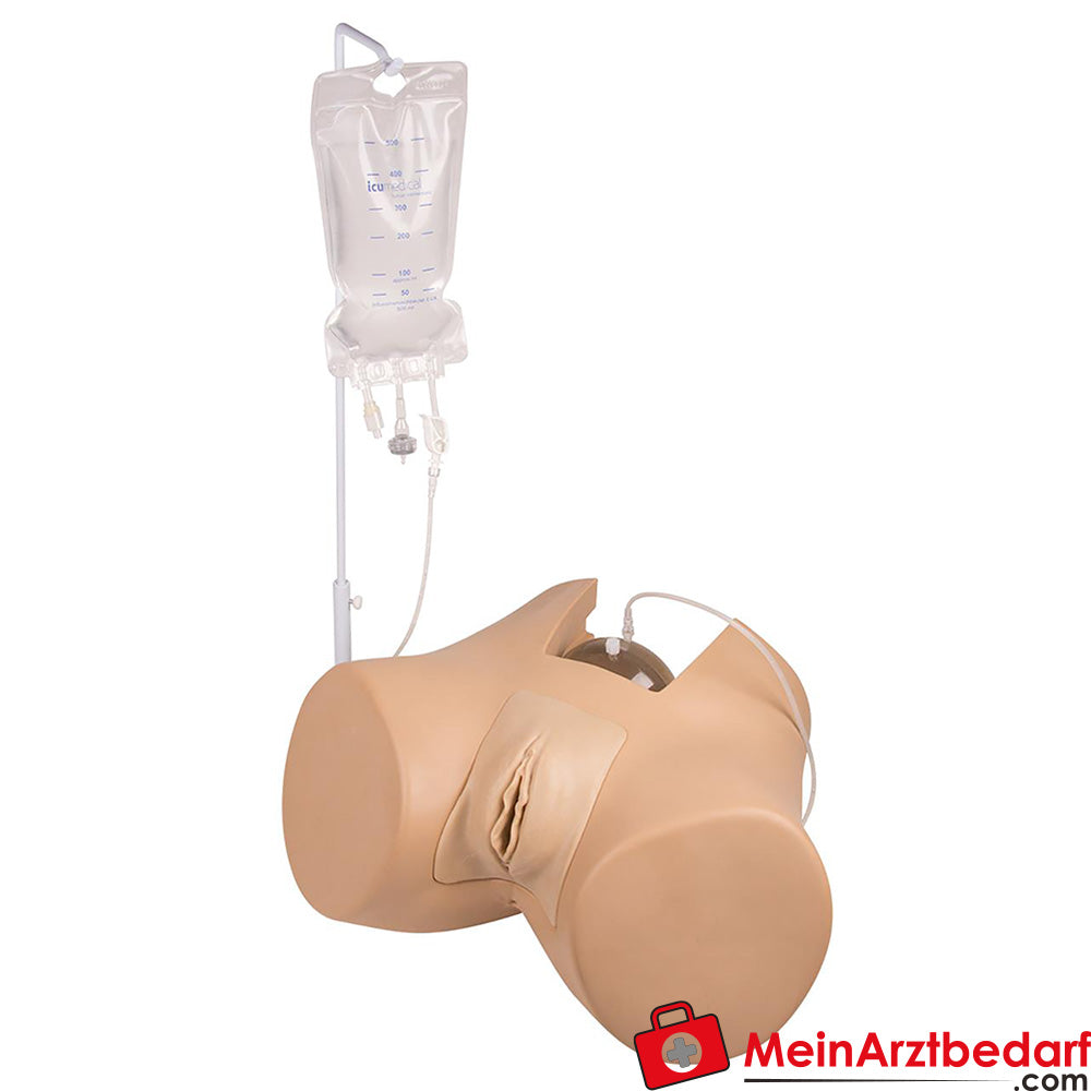 Erler-Zimmer Blasenkatheterisierungs-Simulator.