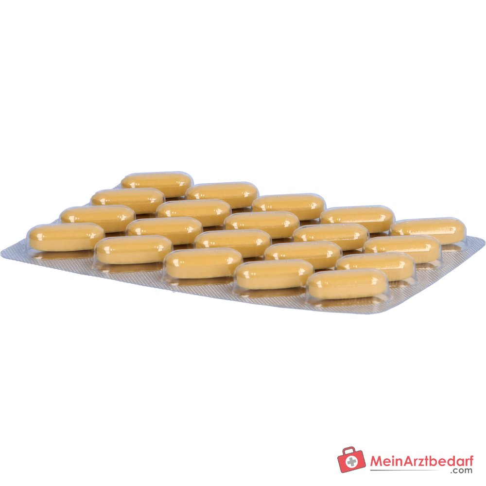 Dr. Willmar Schwabe Neuroplant Aktiv extracto seco de hierba de San Juan Comprimidos recubiertos 600 mg, 100 uds.