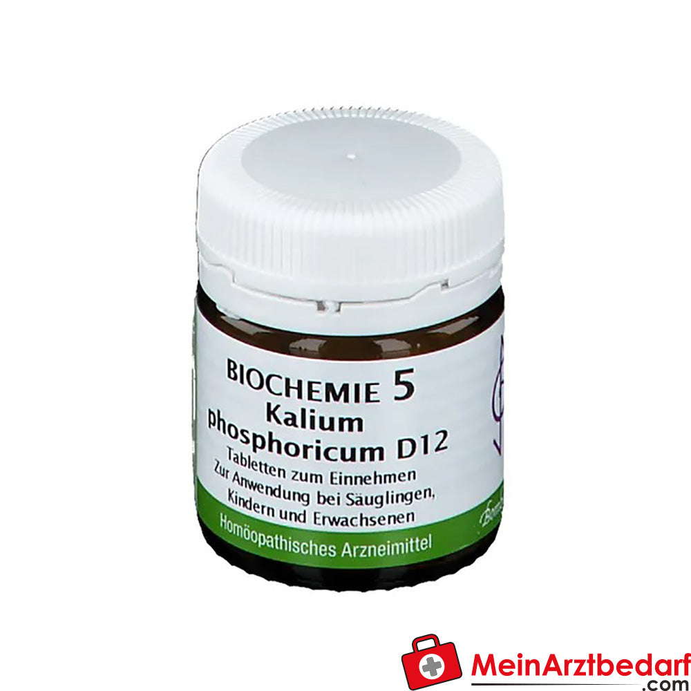 BIOCHEMIE 5 Kalium phosphoricum D12.